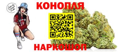 apvp Лесосибирск