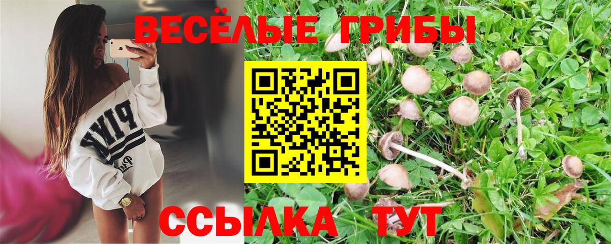 Псилоцибиновые грибы прущие грибы  Галлюциногенные грибы Psilocybe  Вход с VPN  Тверь 